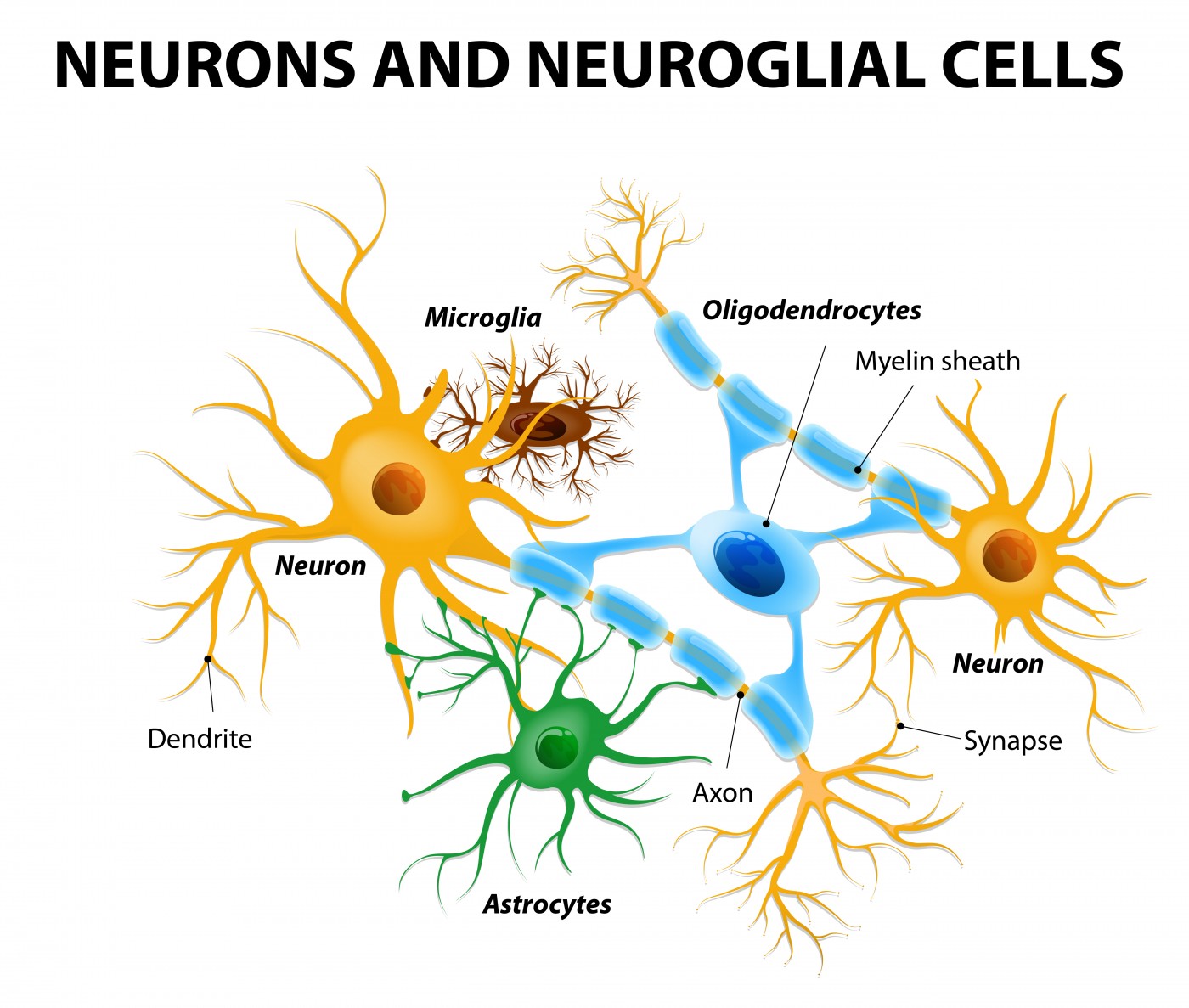 cerebral palsy study