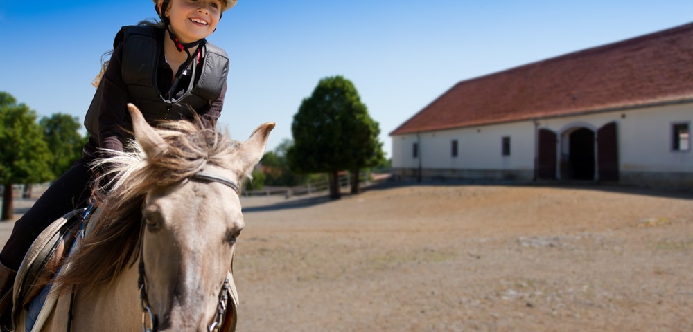 Hippotherapy Seen in Small Study to Only Aid Mobility in Children with Cerebral Palsy
