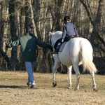 hippotherapy and CP