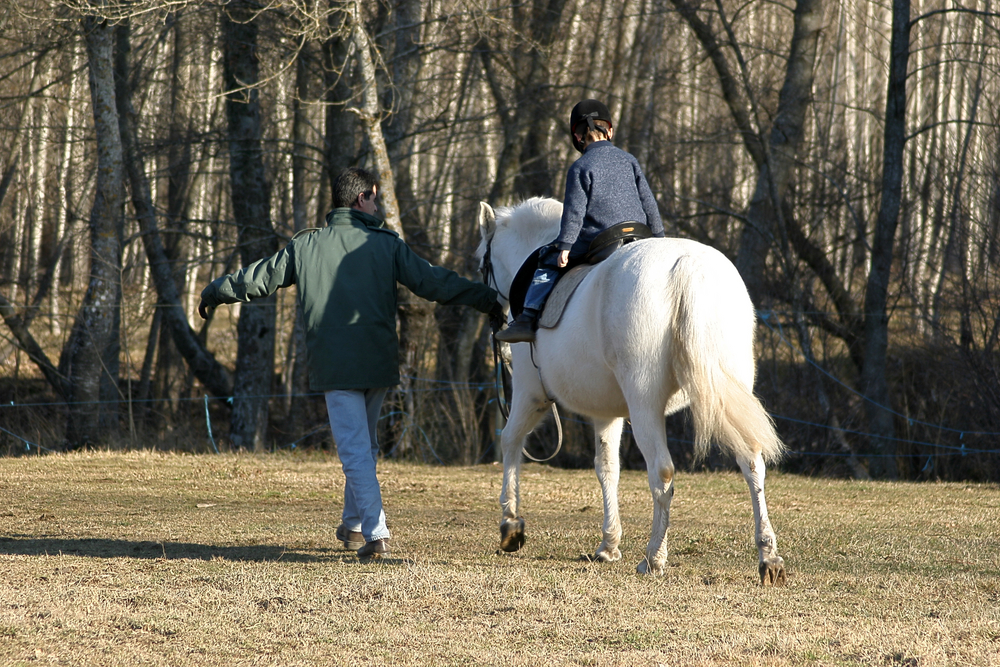 hippotherapy and CP