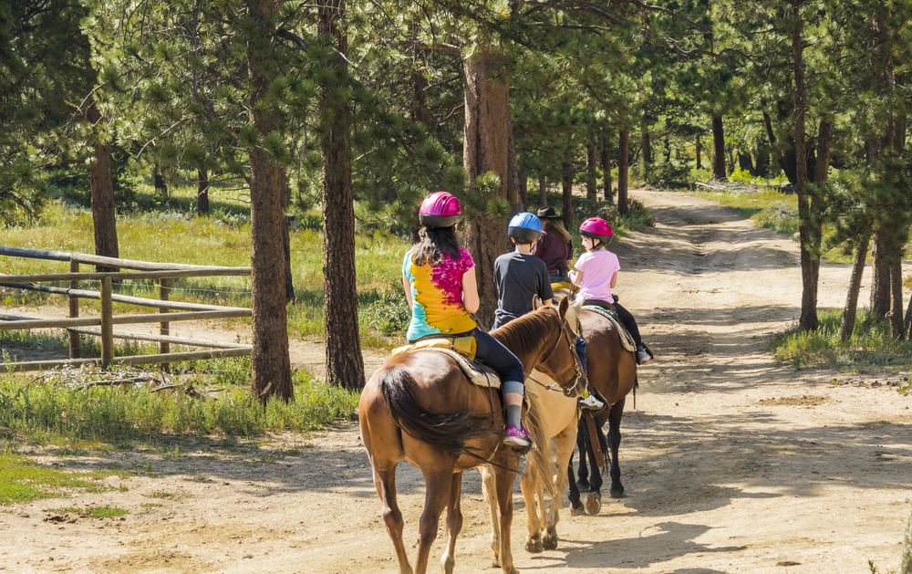 hippotherapy for CP